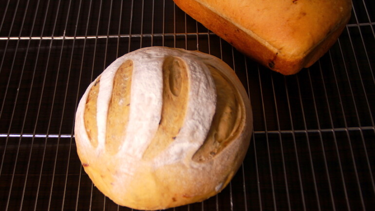 Caramelized Onion Bread